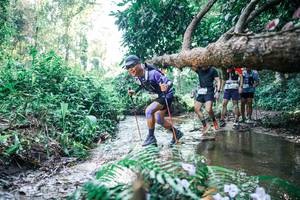 BIB: 
                            <button type="button" onclick="openModal(25446709)" class="btn btn-primary btn-sm float-right btn-popup" data-toggle="modal" data-target=".modal-high-quality">
                        <i class="fas fa-shopping-cart"></i> Add to Cart
                    </button>
                                            <button type="button" onclick="isThisMe(25446709, true)" class="btn btn-success btn-sm float-right btn-popup btn-isme hidden" data-toggle="tooltip" data-placement="bottom" title="นี่คือรูปของคุณใช่ไหม คลิกที่นี่เพื่อเอาเข้าอัลบั้ม">
                        <i class="fas fa-plus"></i> Add to album
                    </button>
                    <button type="button" onclick="isThisMe(25446709, false)" class="btn btn-warning btn-sm float-right btn-popup btn-isnotme hidden">
                        <i class="fas fa-ban"></i> Remove from album
                    </button>